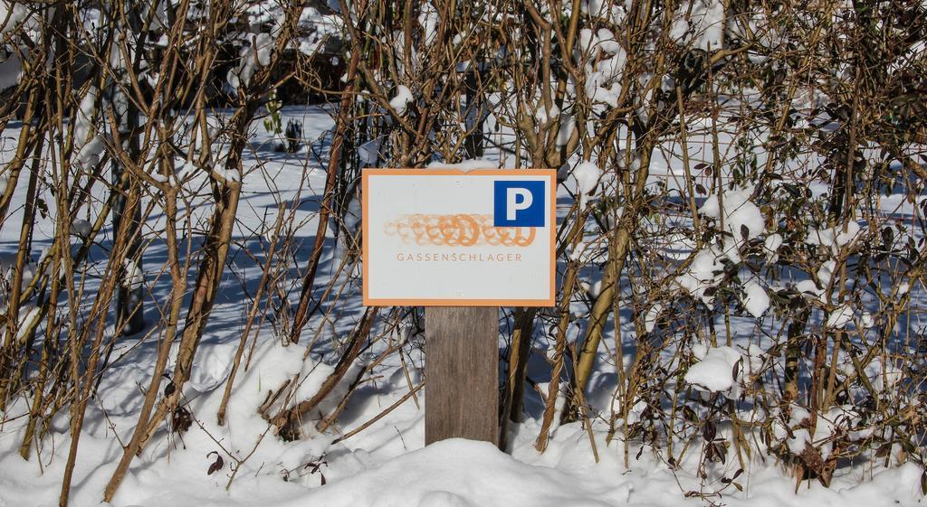 Riedz Apartments Innsbruck- Zentrales Apartmenthaus Mit Gruener Oase Екстериор снимка