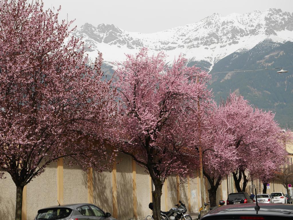 Riedz Apartments Innsbruck- Zentrales Apartmenthaus Mit Gruener Oase Екстериор снимка